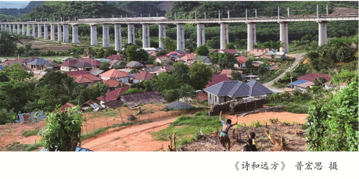 摄影周摄影展展架5-010