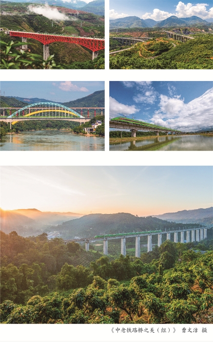 摄影周摄影展展架6-01