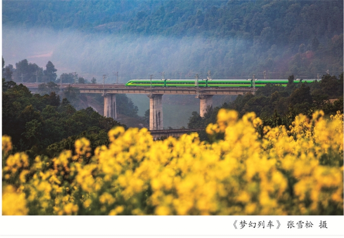 摄影周摄影展展架6-02