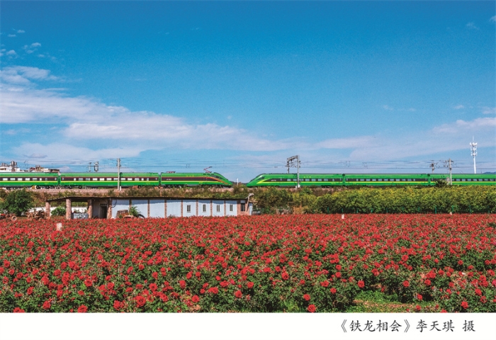 摄影周摄影展展架6-03