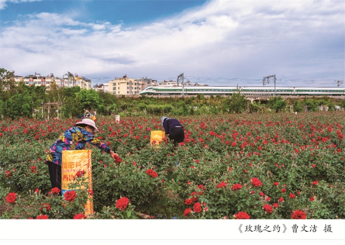 摄影周摄影展展架7-02