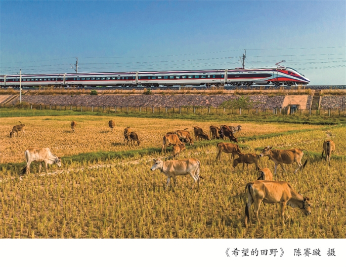 摄影周摄影展展架9-06