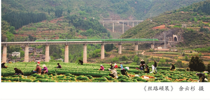 摄影周摄影展展架10-02