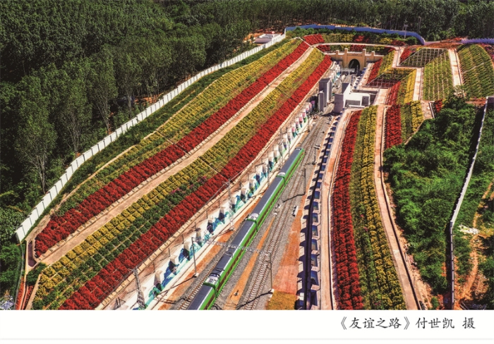 摄影周摄影展展架10-08