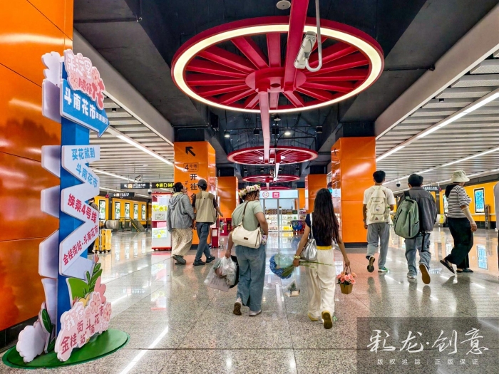 杨洁13698719989《“车轮”站的归途》2025