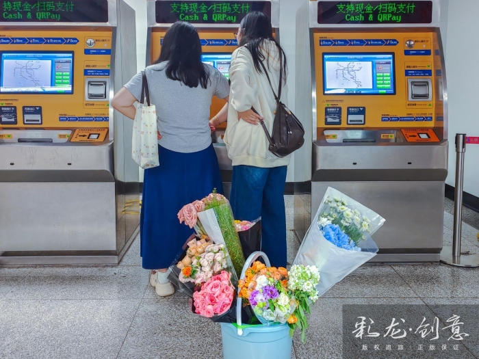胡平华 13888511964  通往花海的地铁5 2025年9月4日   地铁四号线金桂街站