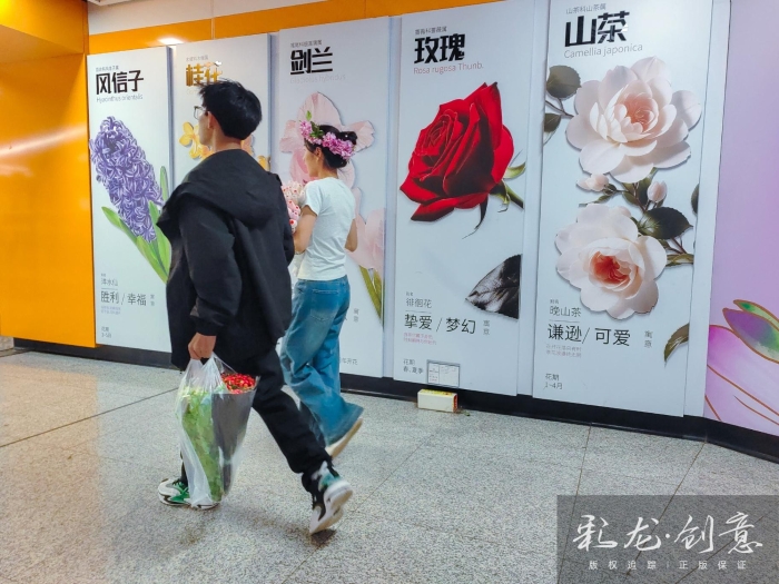 胡平华 13888511964  通往花海的地铁6 2025年9月4日   地铁四号线金桂街站