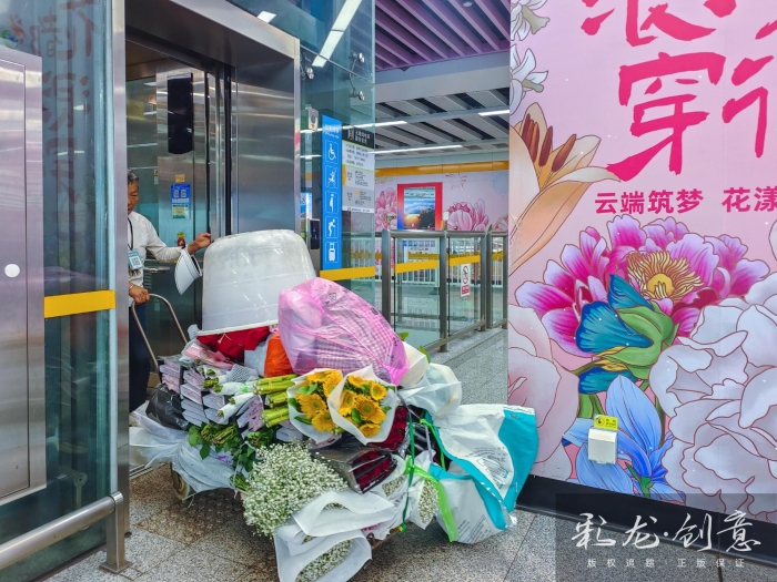 胡平华 13888511964  通往花海的地铁7 2025年9月4日   地铁四号线金桂街站