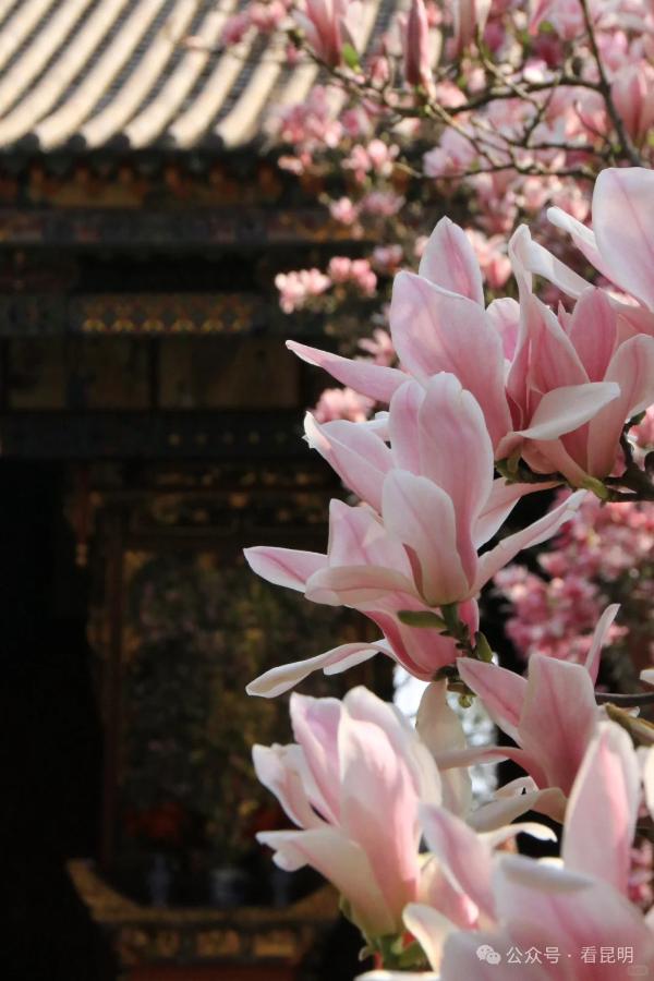 微信图片_2026-01-21_153629_045