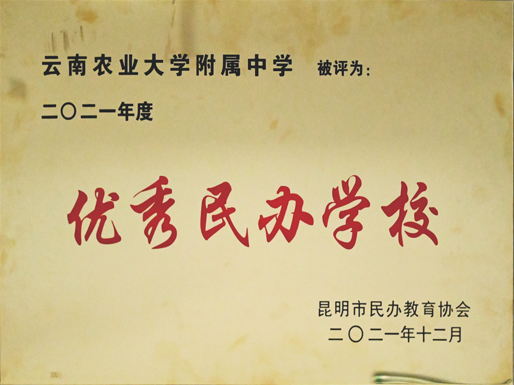 殊荣逾千 硕果累累