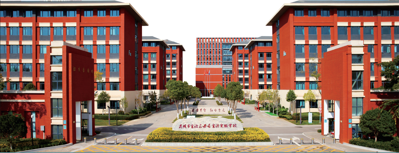 向下扎根，向上开花