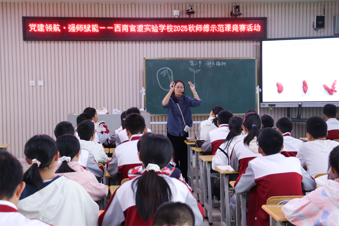 以教育科研促进教学质效