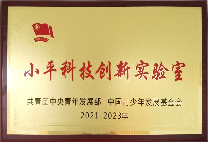 国家级：202108 2021-2023年小平科技创新实验室