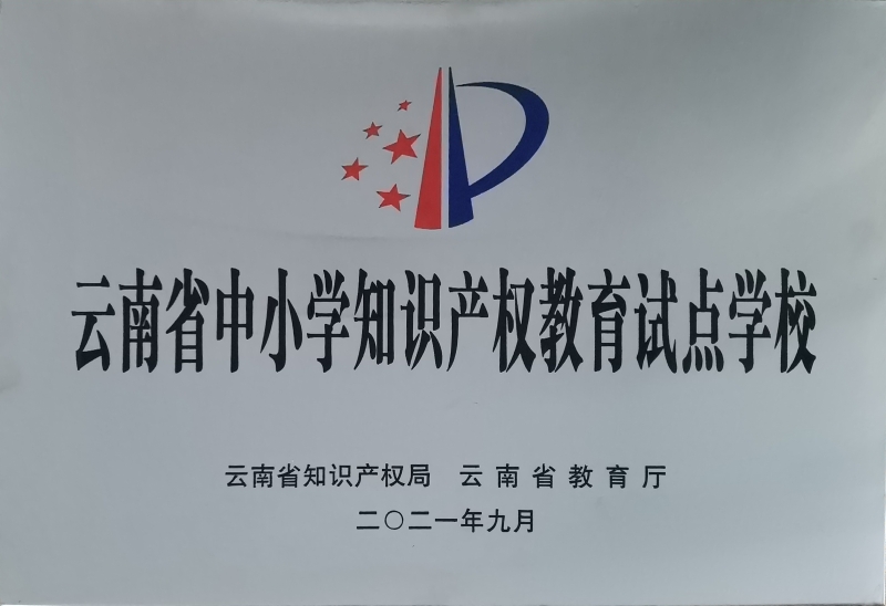 省级：202109 云南省知识产权试点学校