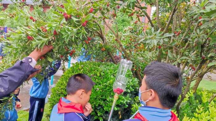 661b5f4ff772b8fedb735abf6796113 661b5f4ff772b8fedb735abf6796113