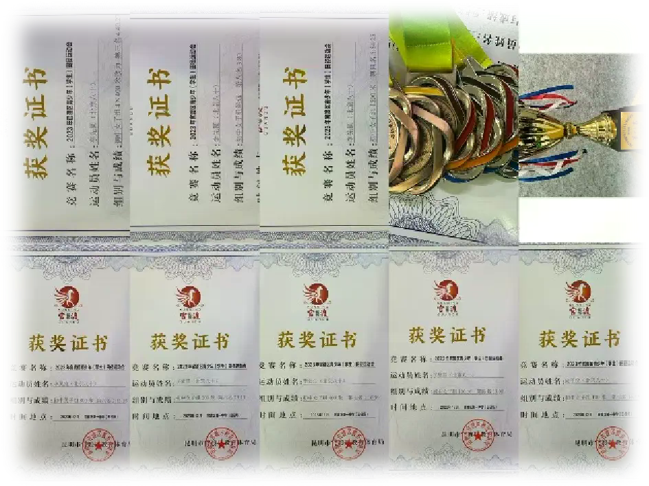 图片4.webp 图片4.webp