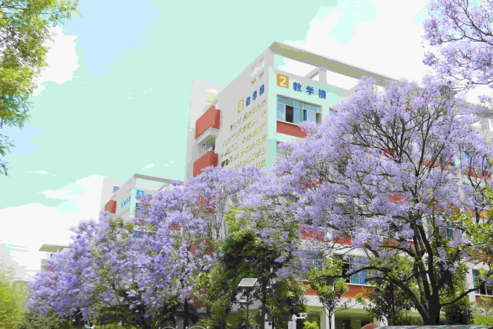 校园风景1 校园风景1