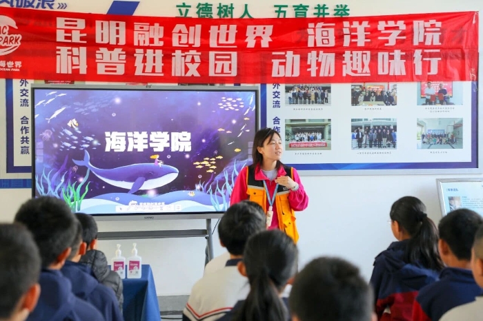 031aeb4b6fe9a5f917ac7dbcbfcca774