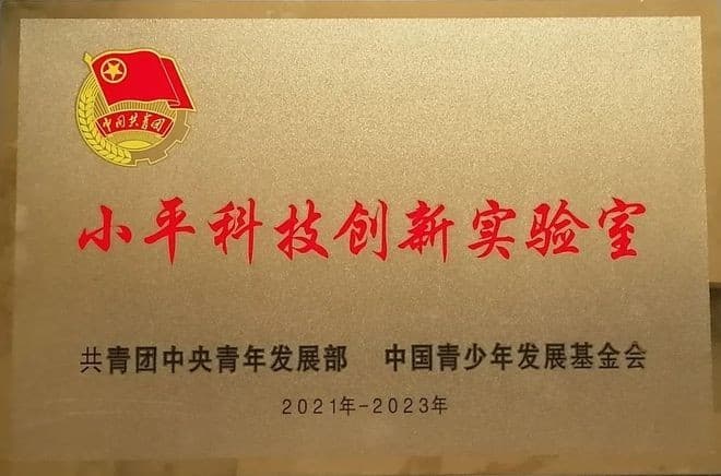 1.共青团中央认定授牌为全国首批 “小平科技创新实验室” 