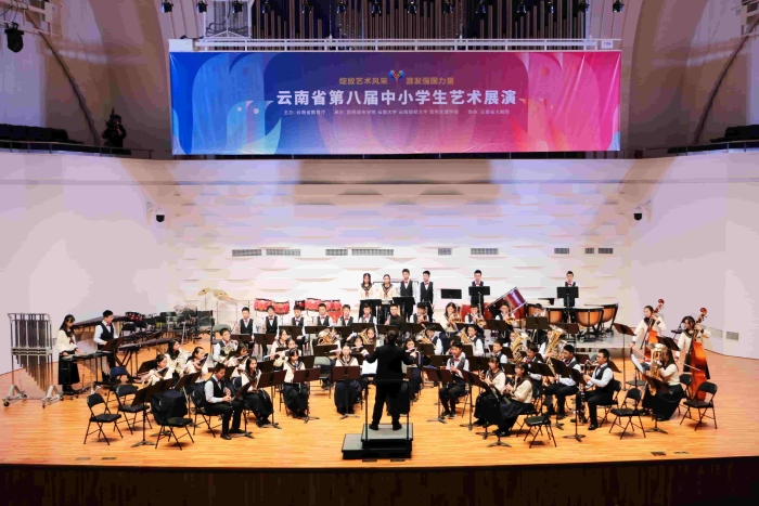 云南省第八届中小学生艺术展演一等奖 云南省第八届中小学生艺术展演一等奖