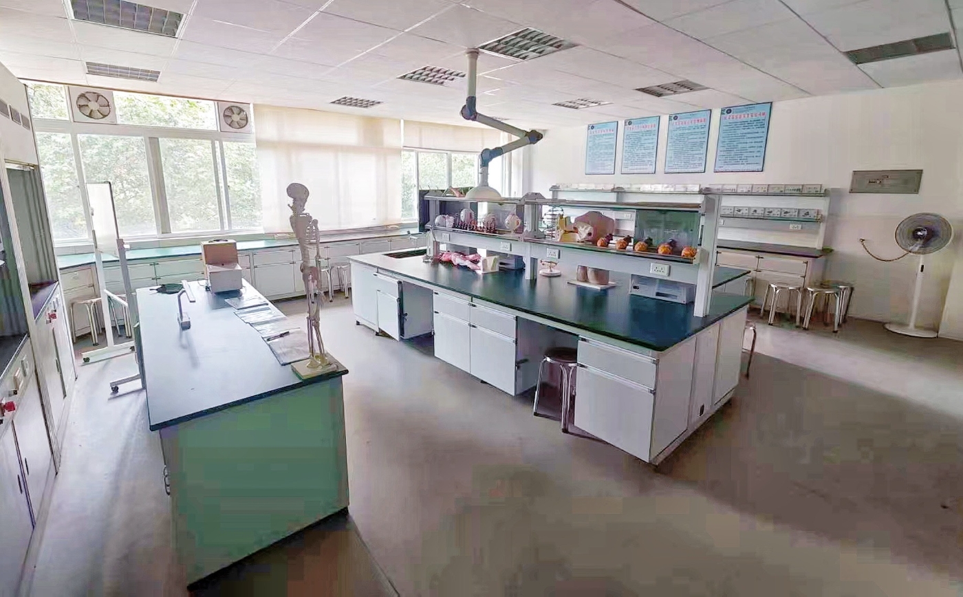 2e622d1697c324f20695c59daacc12c0