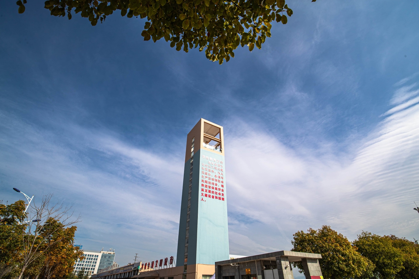 QMF_5943