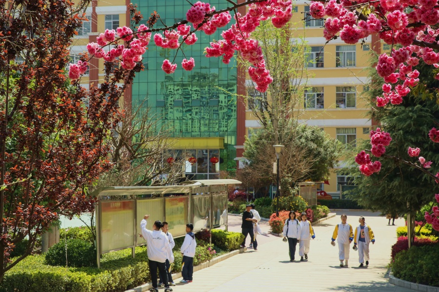 微信图片_20210313091319 (1) 微信图片_20210313091319 (1)