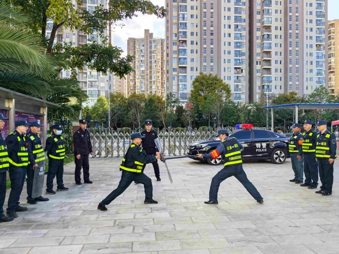 安保人员 安保人员