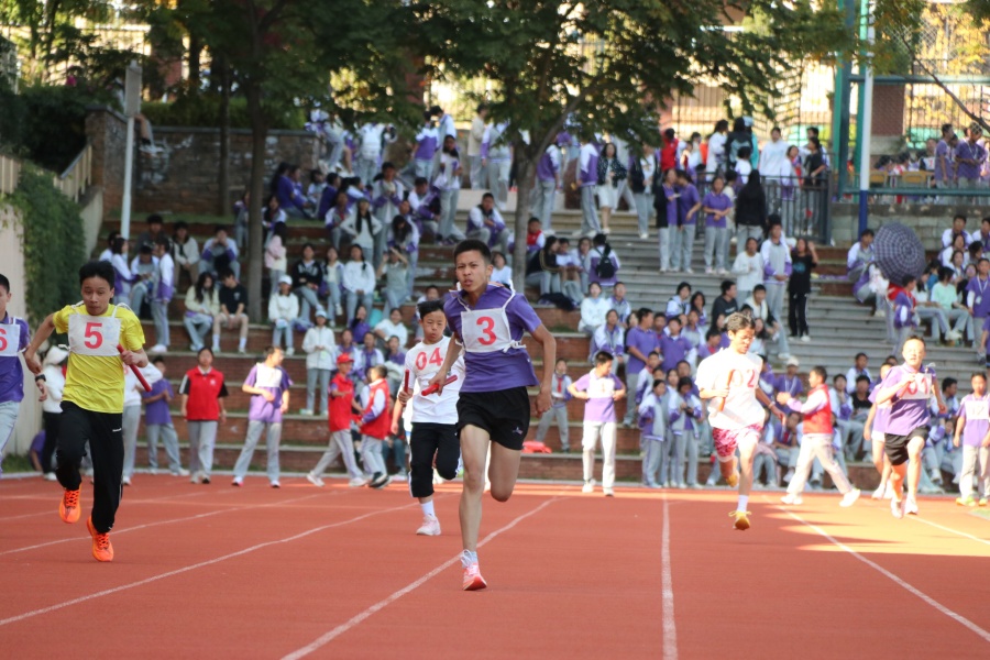 IMG_6649 (1) IMG_6649 (1)