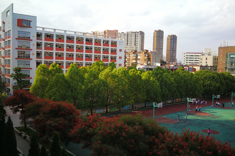 环城南路校区校园景观 (1) 环城南路校区校园景观 (1)