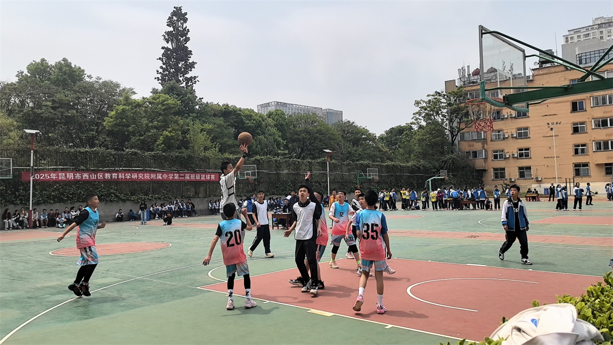 校园篮球赛 校园篮球赛