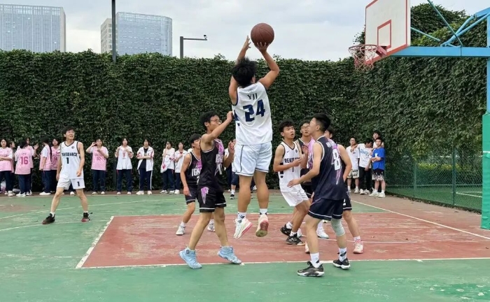 篮球 篮球