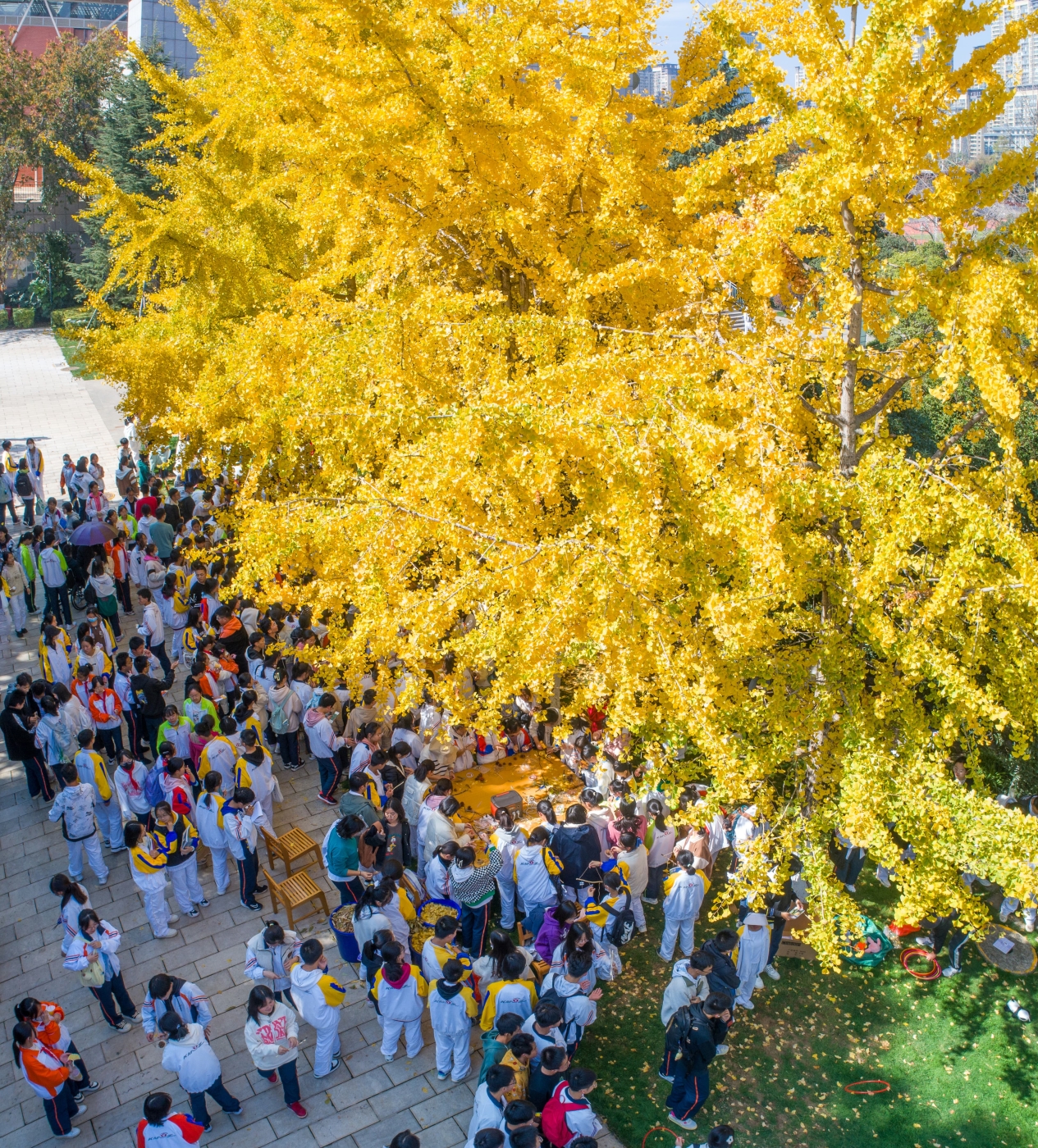 DJI_0073 全景 (1) DJI_0073 全景 (1)