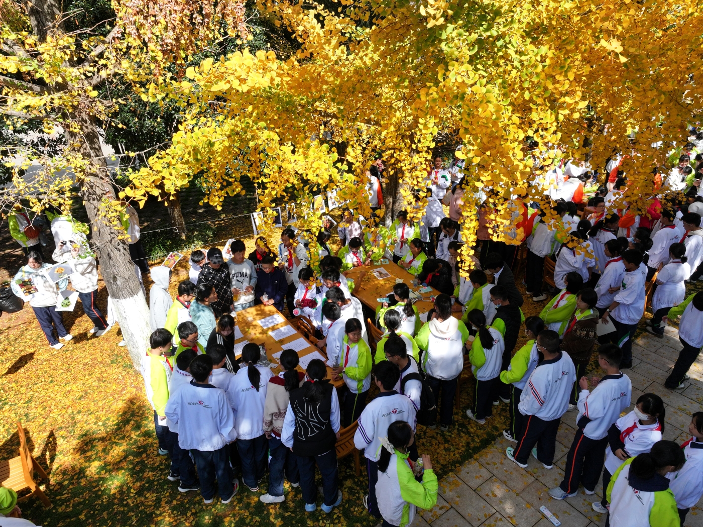 DJI_20251113124538_0120_D (1) DJI_20251113124538_0120_D (1)