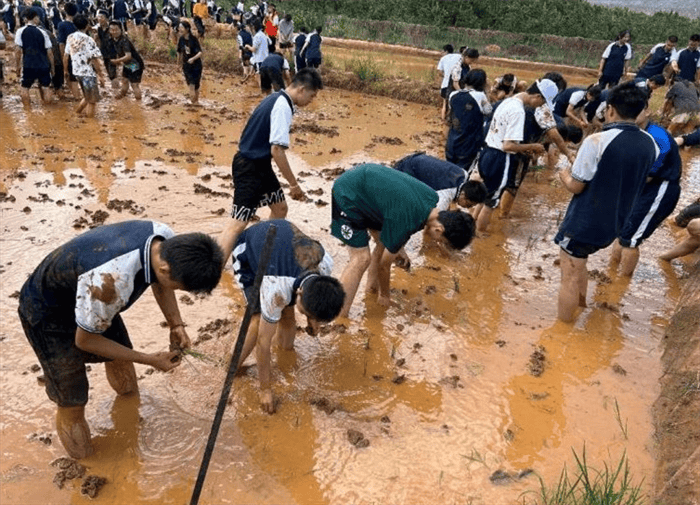 劳动教育1 (1) 劳动教育1 (1)