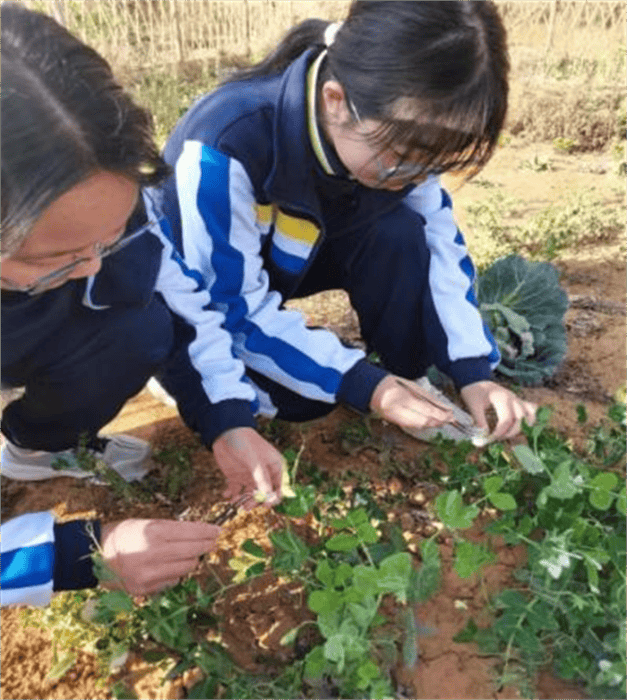 劳动教育2 (1) 劳动教育2 (1)