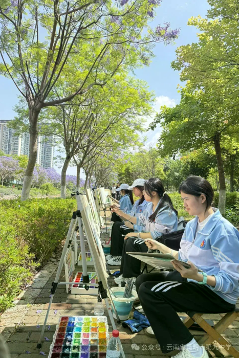 图片15.webp 图片15.webp