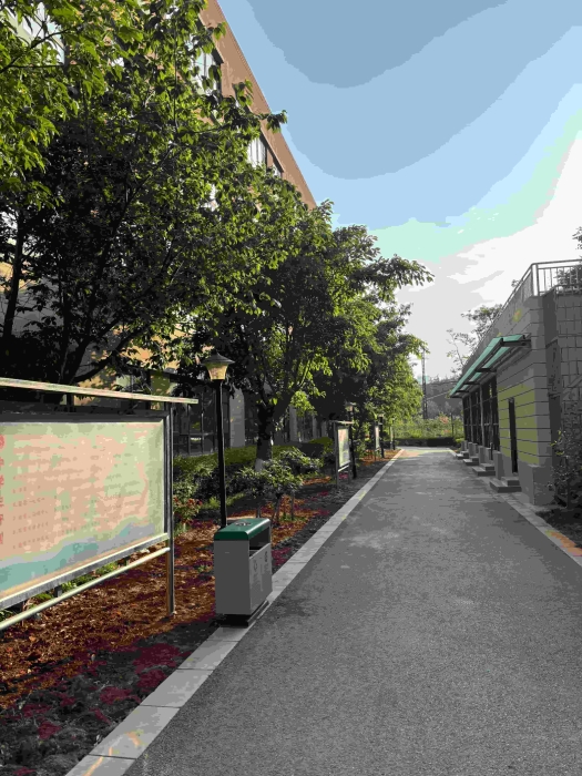 绿荫路 绿荫路