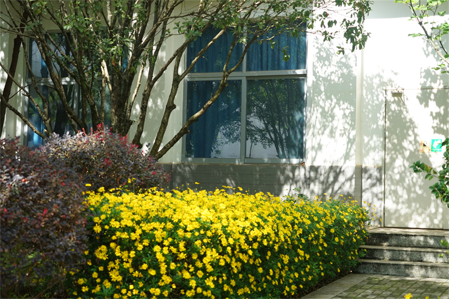 DSC00004 DSC00004