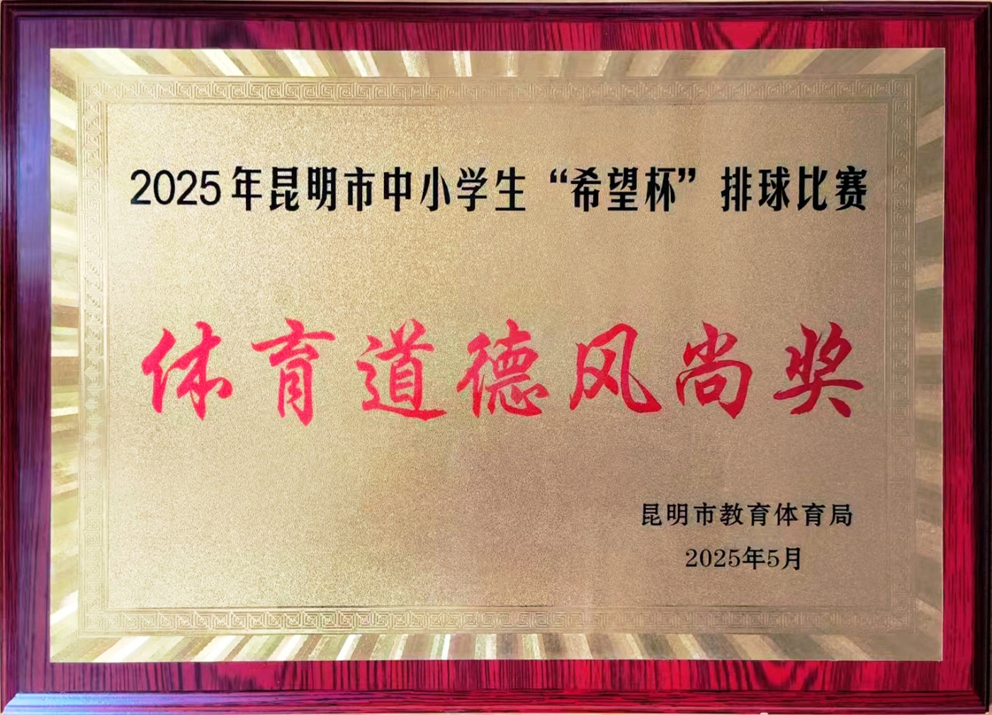 2025年体育道德风尚奖