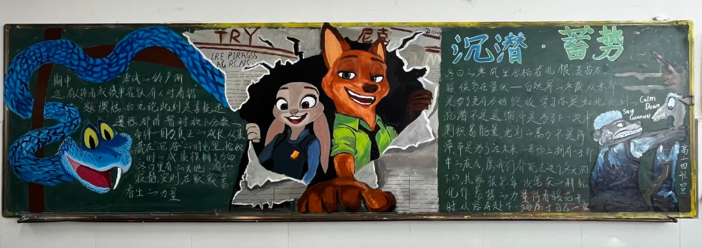 活动11 活动11