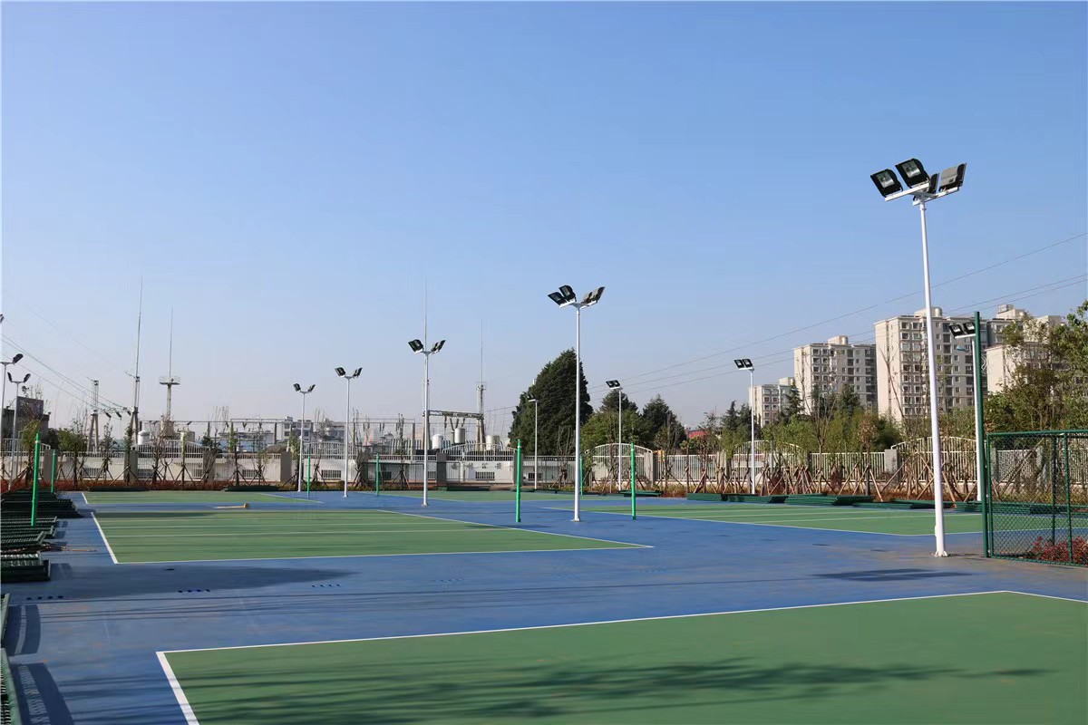 排球场 排球场
