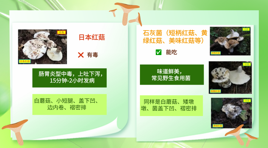 渐变质感风果蔬美食价目表横版海报__2026-07-09+23_30_01 渐变质感风果蔬美食价目表横版海报__2026-07-09+23_30_01