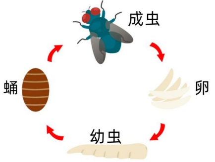图片 2 图片 2