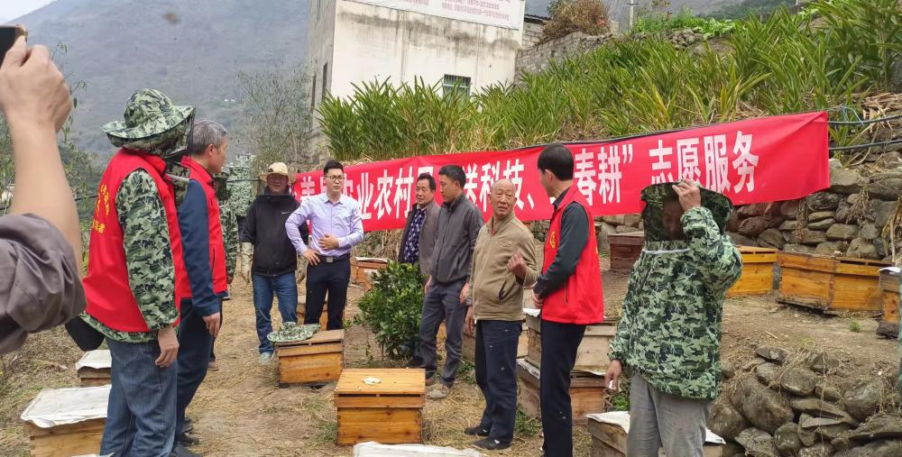 图片 3 图片 3