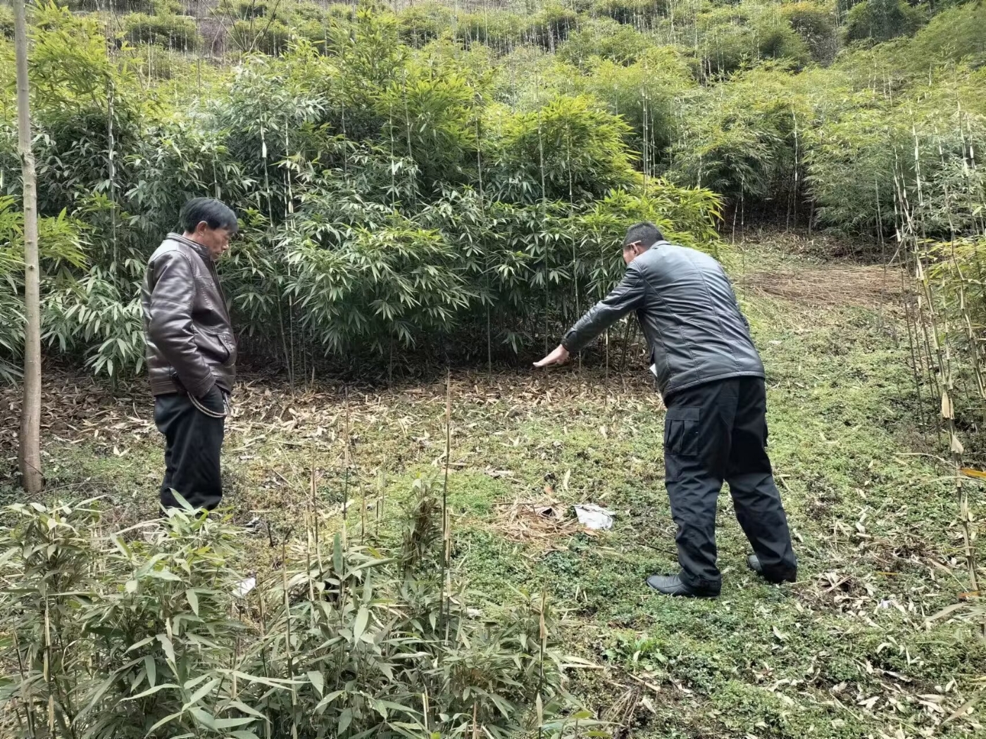 传授村民施肥技术 传授村民施肥技术