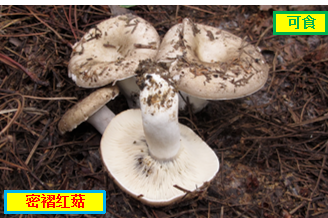 图片 3 图片 3