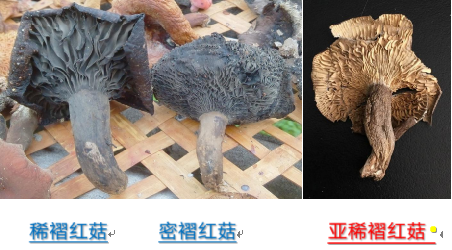 图片 6 图片 6