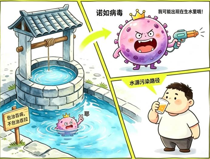 图片 4 图片 4
