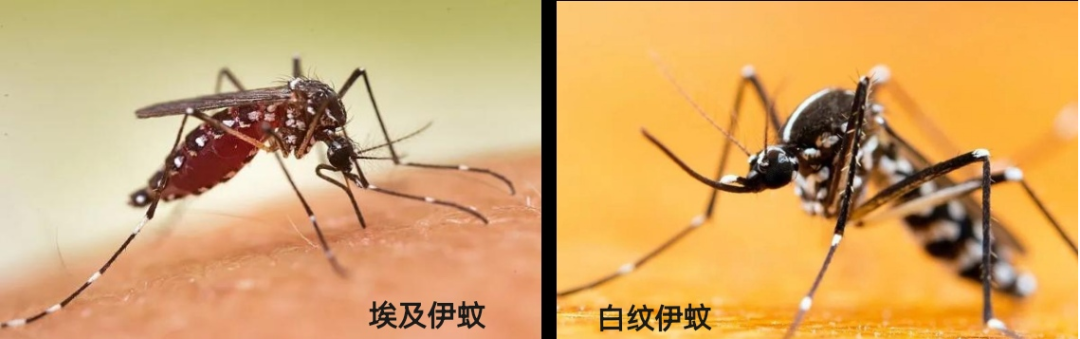 图片 13 图片 13